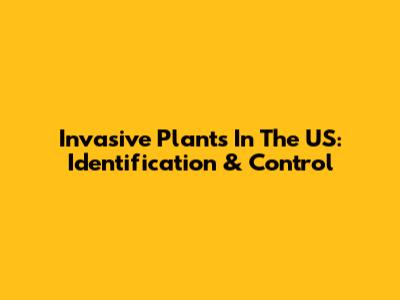 Invasive Plants In The US: Identification & Control